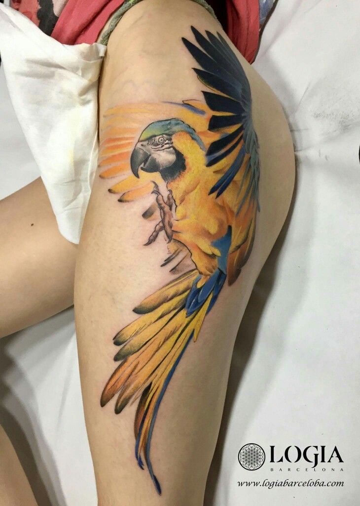 Parrot Tattoo 7