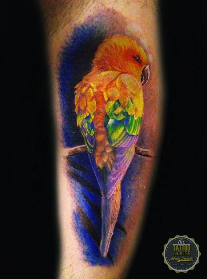 Parrot Tattoo 81