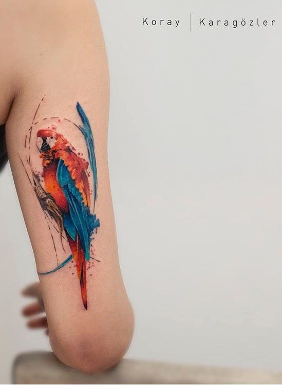 Parrot Tattoo 83