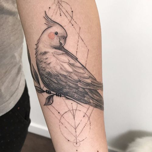 Parrot Tattoo 86