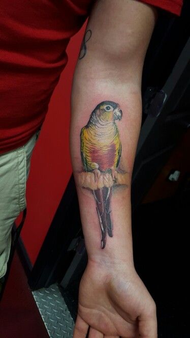 Parrot Tattoo 88