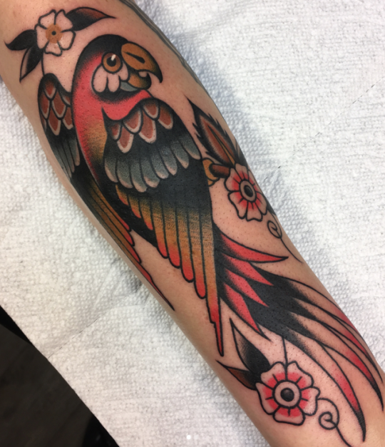 Parrot Tattoo 9
