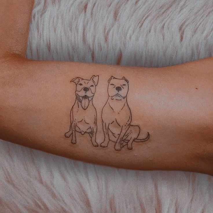 Pitbull Tattoo 101