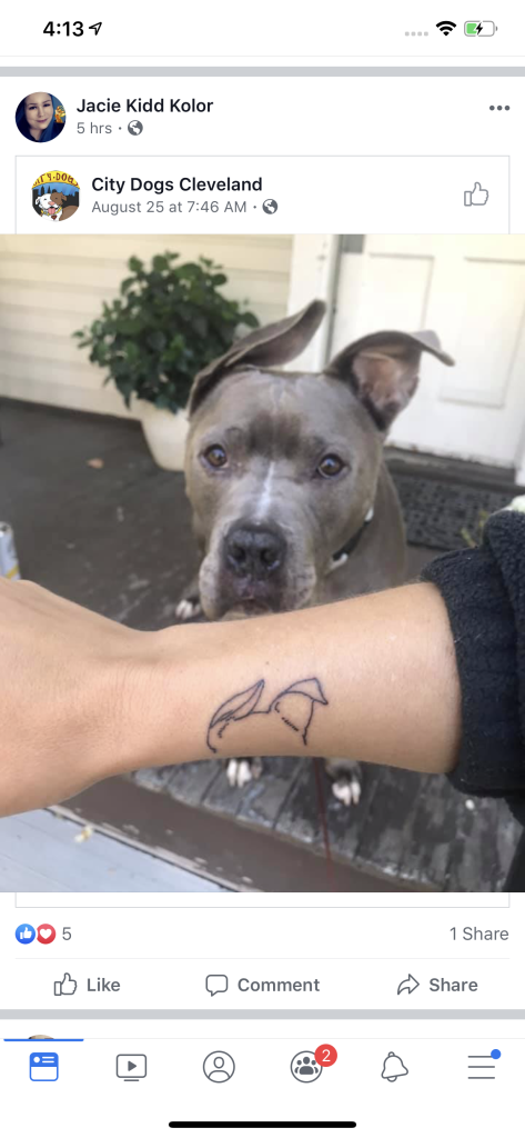 Pitbull Tattoo 12
