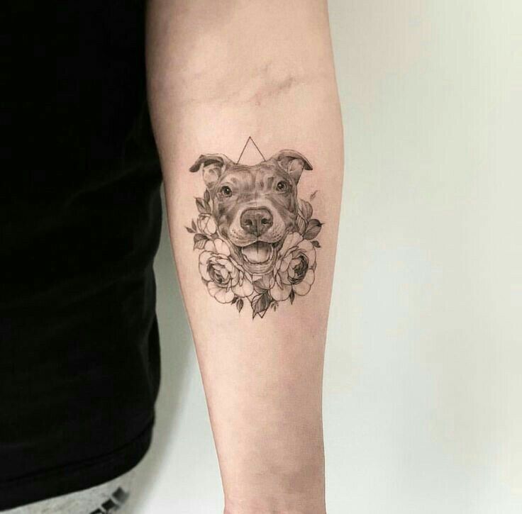 Pitbull Tattoo 151