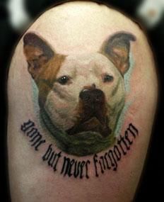 Pitbull Tattoo 154
