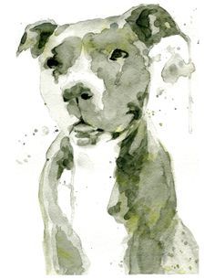 Pitbull Tattoo 191