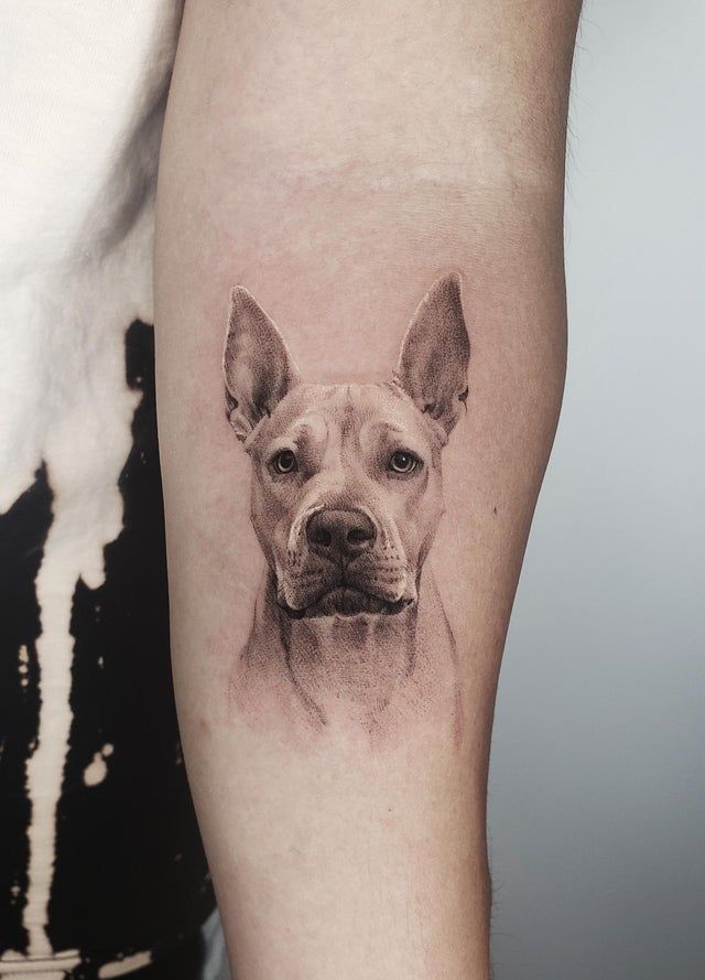 Pitbull Tattoo 22