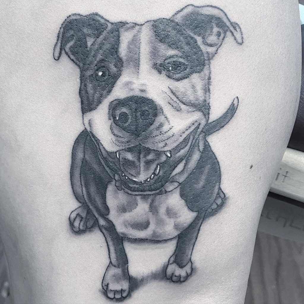 Pitbull Tattoo 47