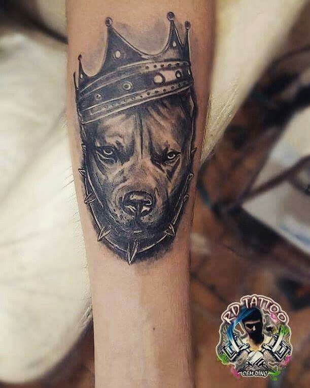 Pitbull Tattoo 66