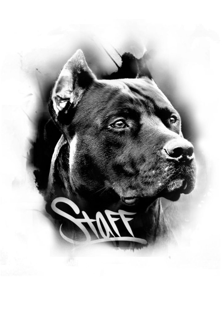Pitbull Tattoo 68