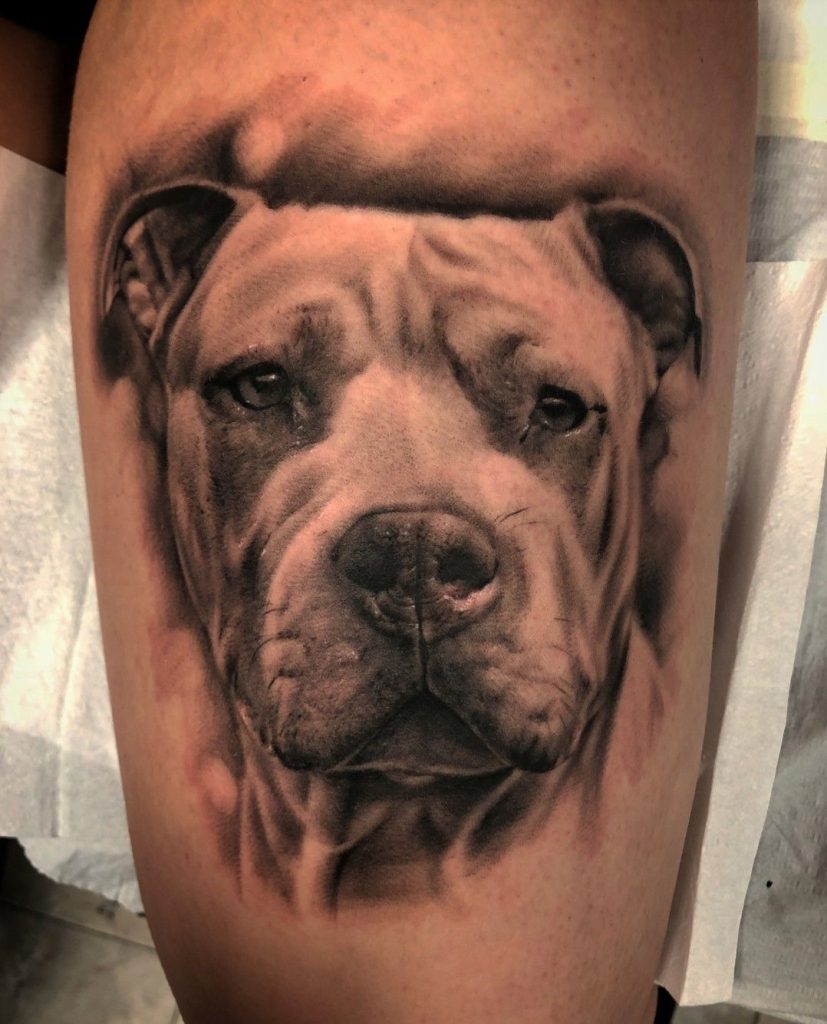 Pitbull Tattoo 87