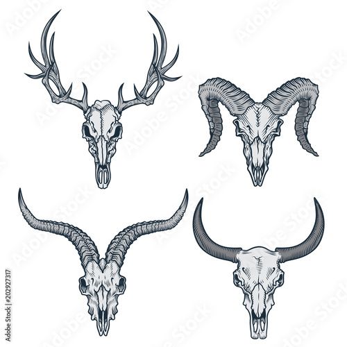 Deer Tattoo 105