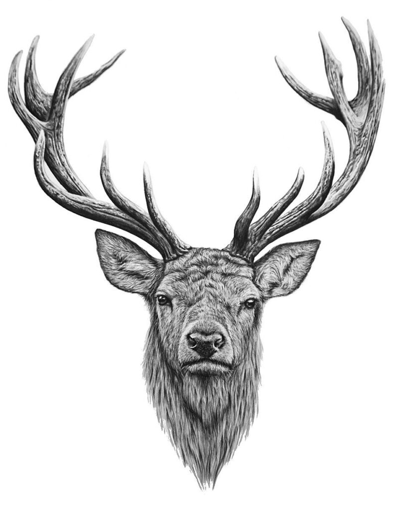 Deer Tattoo 139