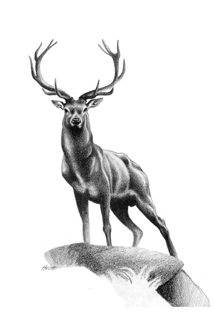 Deer Tattoo 14