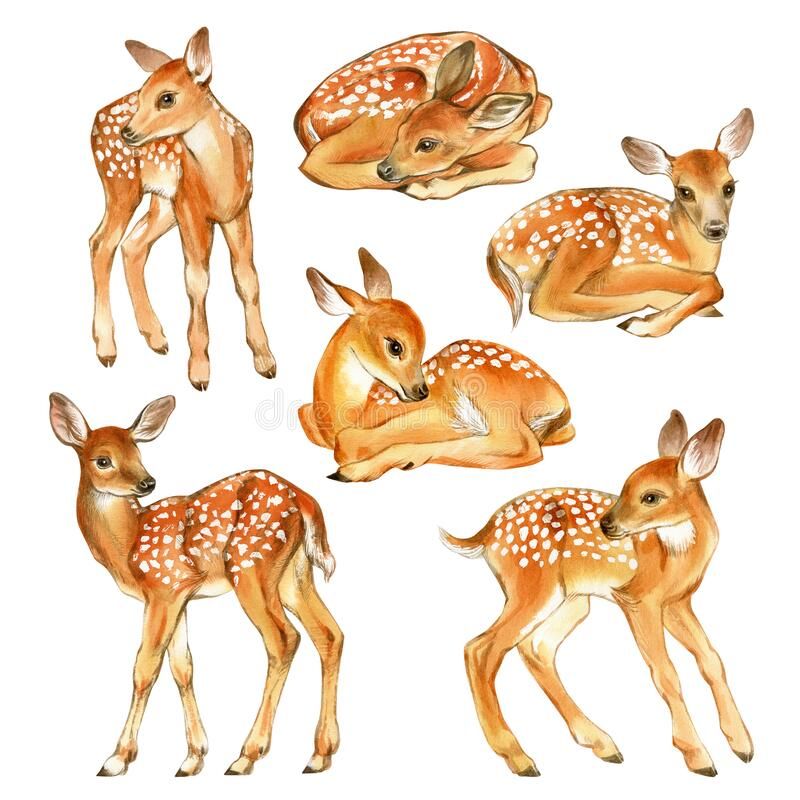 Deer Tattoo 16