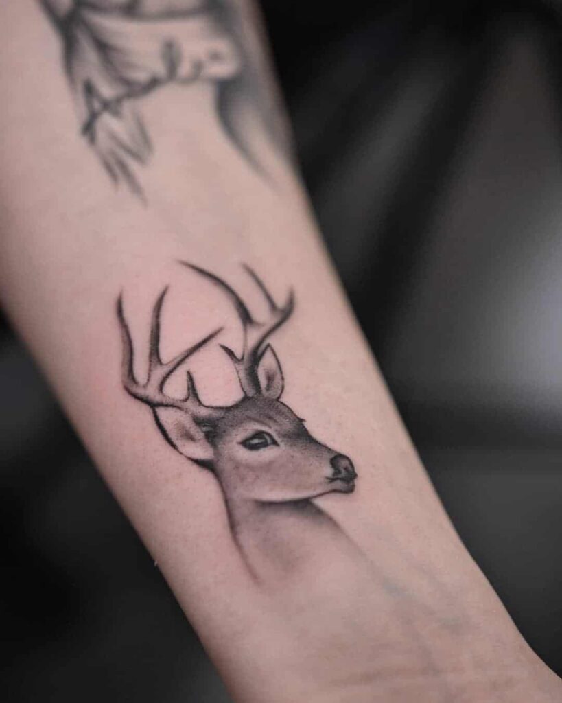 Deer Tattoo 169