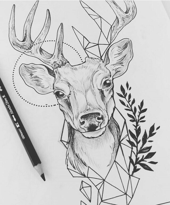 Deer Tattoo 174