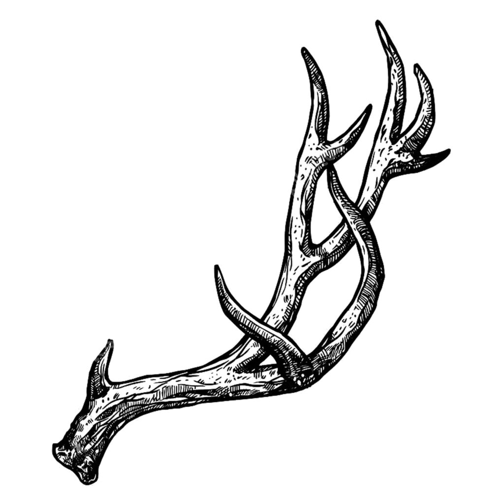 Deer Tattoo 189