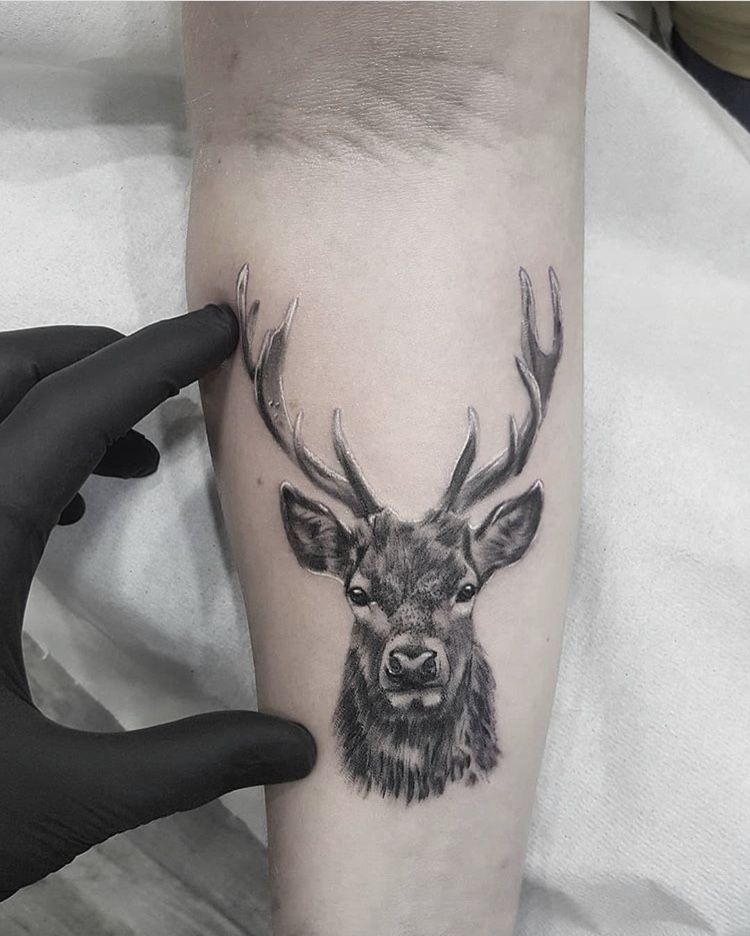Deer Tattoo 190