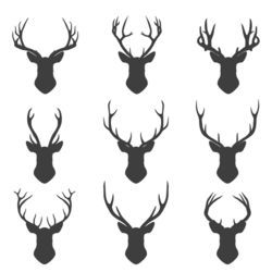 Deer Tattoo 199