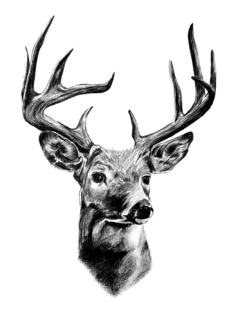 Deer Tattoo 207