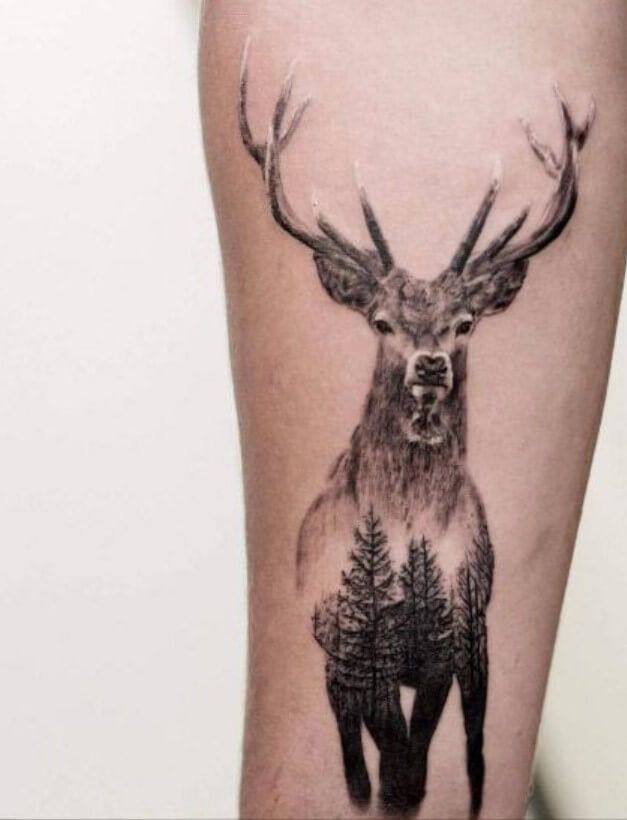 Deer Tattoo 214