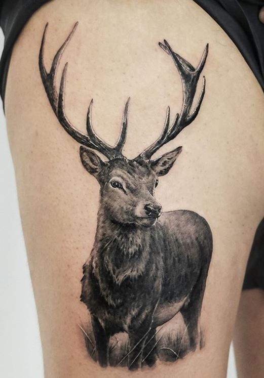 Deer Tattoo 44