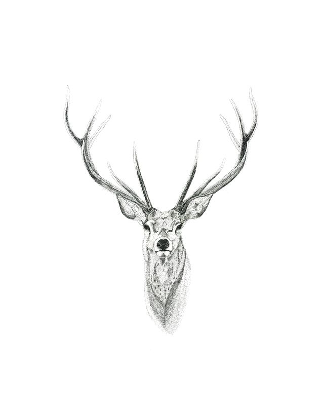 Deer Tattoo 50