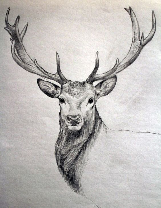 Deer Tattoo 61