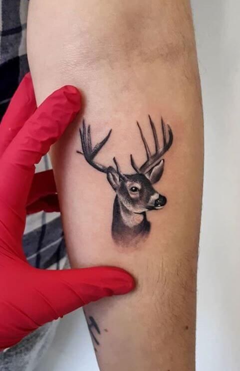 Deer Tattoo 7