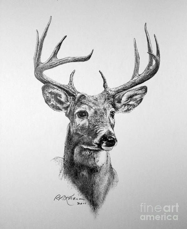 Deer Tattoo 85