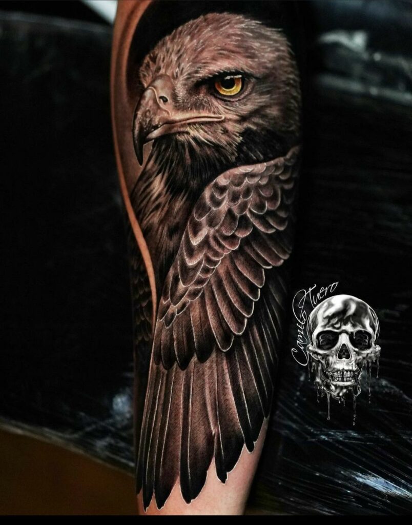 Hawk Tattoo 101