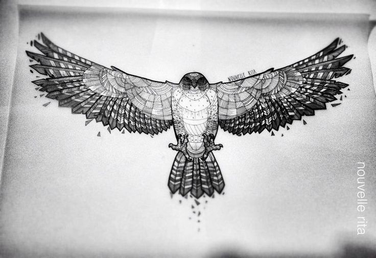 Hawk Tattoo 118