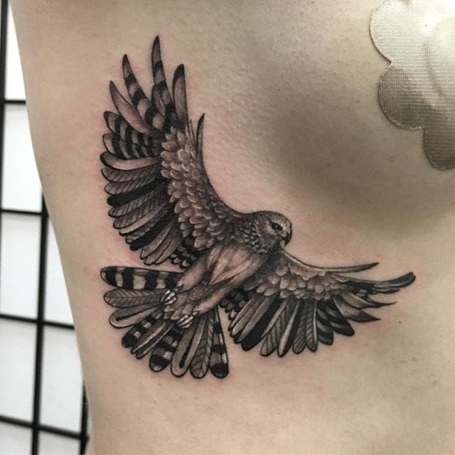 Hawk Tattoo 131