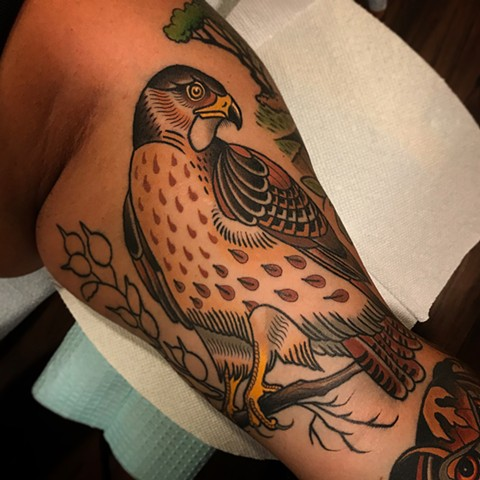 Hawk Tattoo 15
