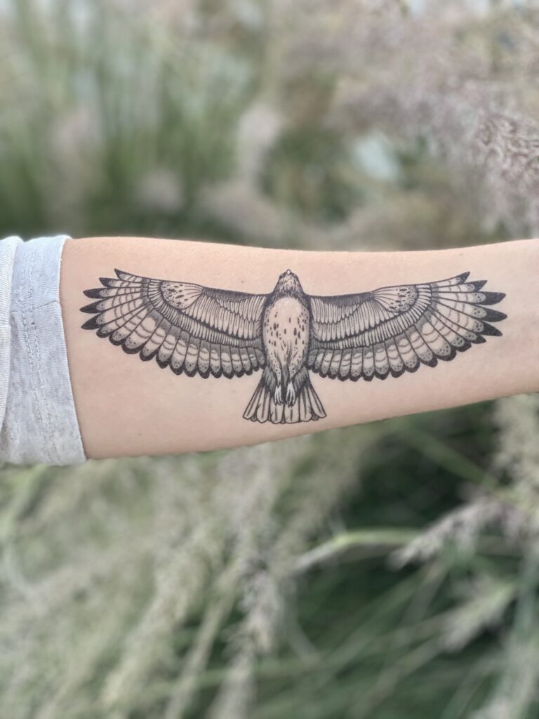Hawk Tattoo 16