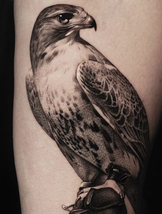 Hawk Tattoo 17