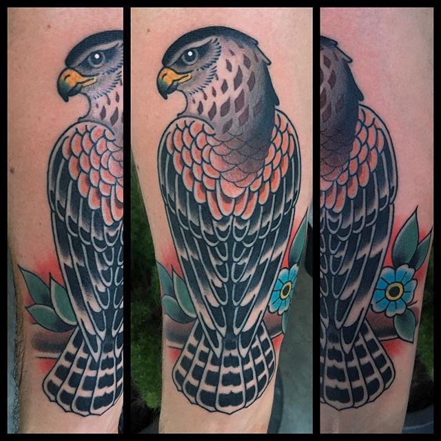 Hawk Tattoo 181