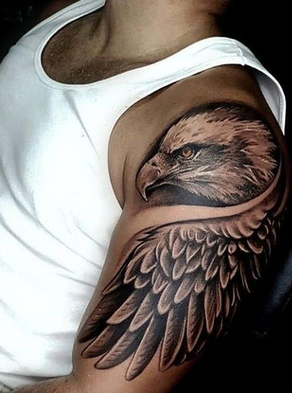 Hawk Tattoo 184
