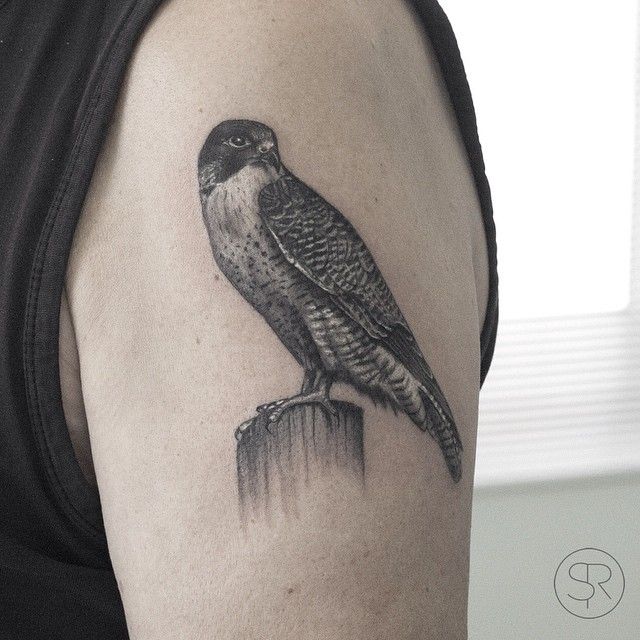 Hawk Tattoo 194