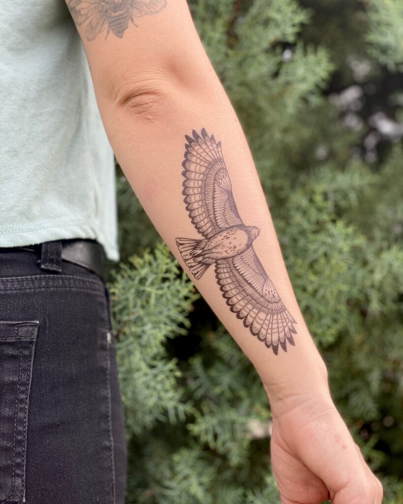 Hawk Tattoo 198