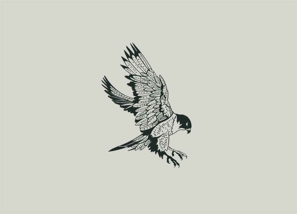 Hawk Tattoo 2