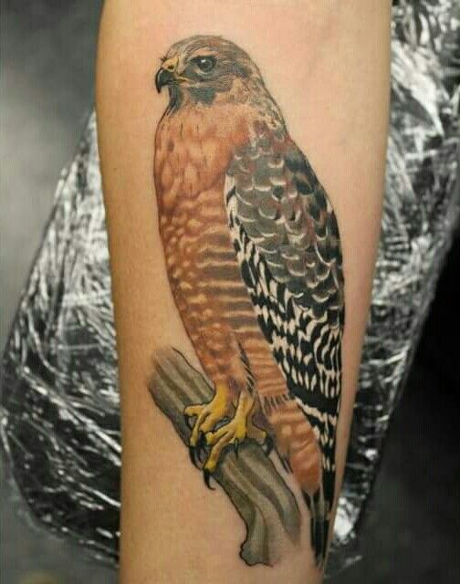 Hawk Tattoo 23