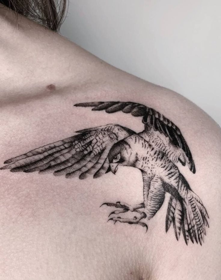 Hawk Tattoo 33