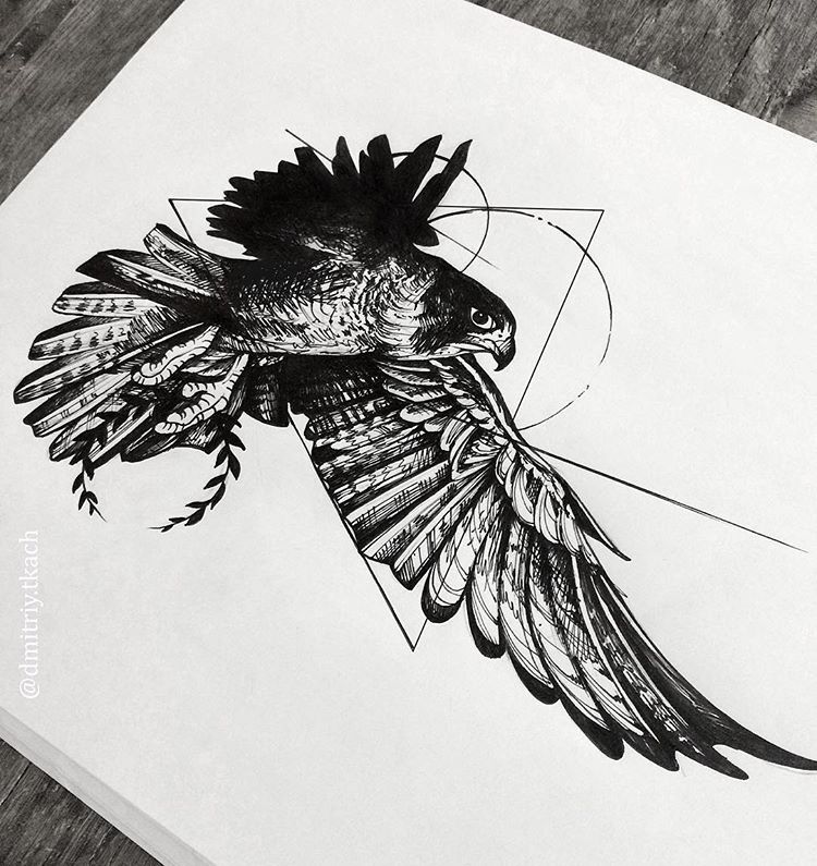 Hawk Tattoo 34