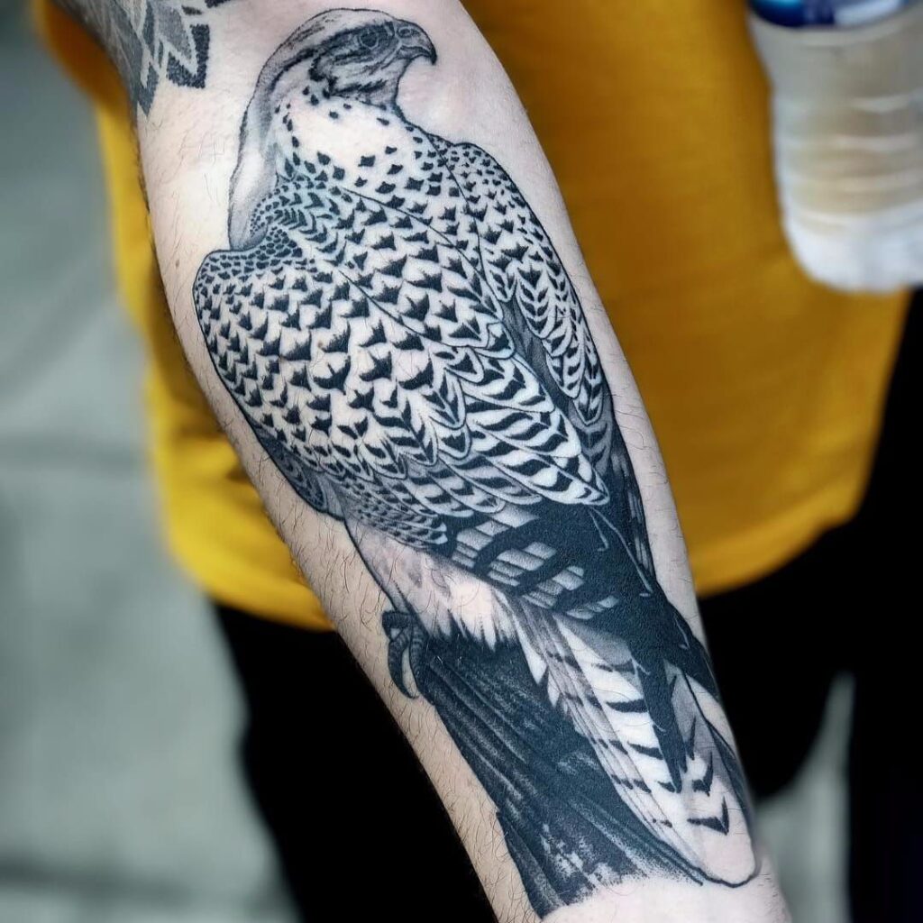 Hawk Tattoo 59
