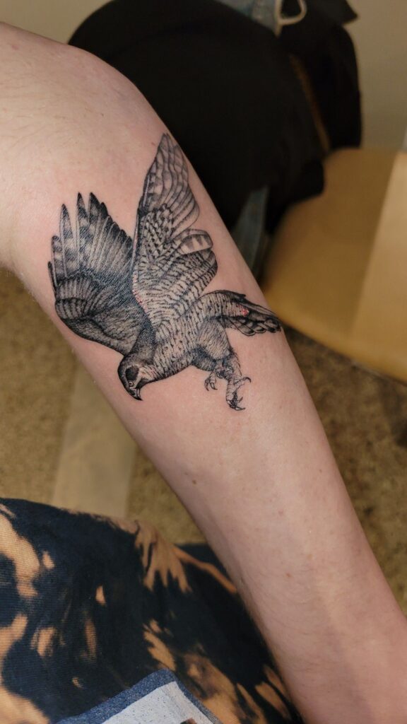 Hawk Tattoo 64