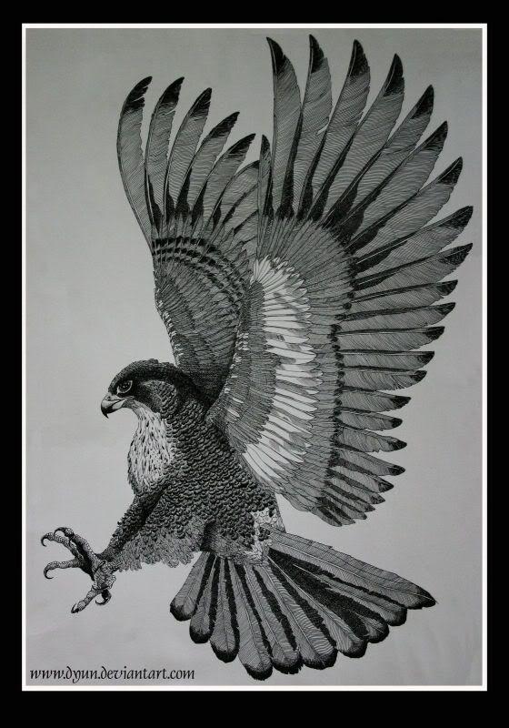 Hawk Tattoo 68