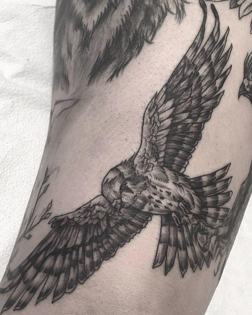 Hawk Tattoo 80